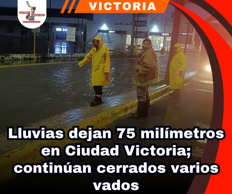 copia-de-portada-notas-2.png