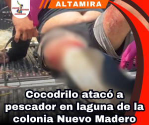 copia-de-portada-notas-2.png