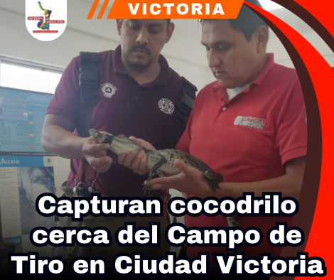 copia-de-portada-notas-2-4.png