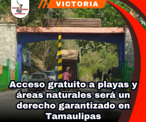 copia-de-portada-notas-2-4.png