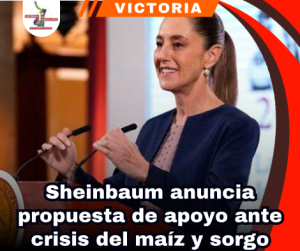copia-de-portada-notas-2-4.png
