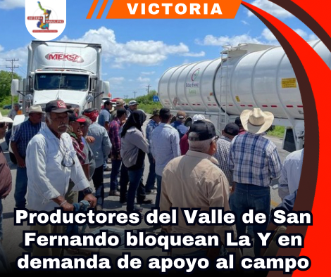 copia-de-portada-notas-2-5.png