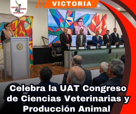 copia-de-portada-notas-2-5.png