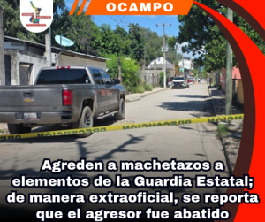 copia-de-portada-notas-2-5.png
