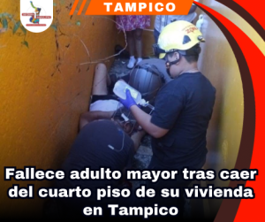 copia-de-portada-notas-2-6.png