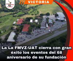 copia-de-portada-notas-2.png