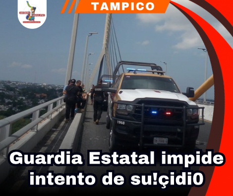 copia-de-portada-notas-2.png