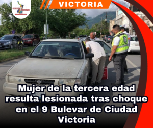 copia-de-portada-notas-2-7.png