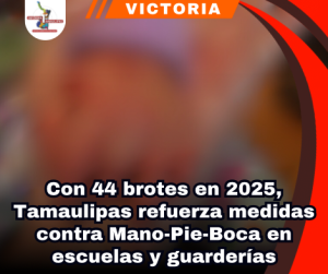 copia-de-portada-notas-2-9.png
