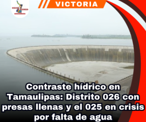 copia-de-portada-notas-2-1.png
