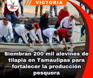 copia-de-portada-notas-2-1.png