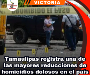 copia-de-portada-notas-2-1.png