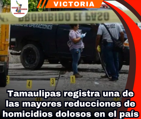 copia-de-portada-notas-2-1.png