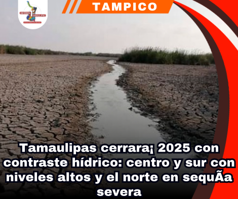 copia-de-portada-notas-2-1.png