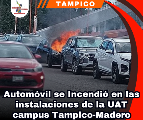 copia-de-portada-notas-2-1.png