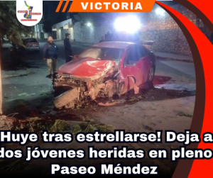 copia-de-portada-notas-2.png