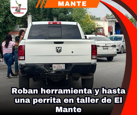copia-de-portada-notas-2.png