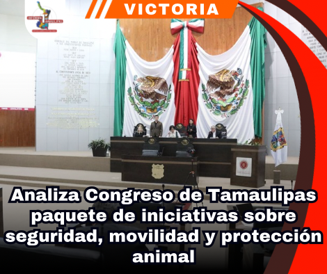 copia-de-portada-notas-2-2.png