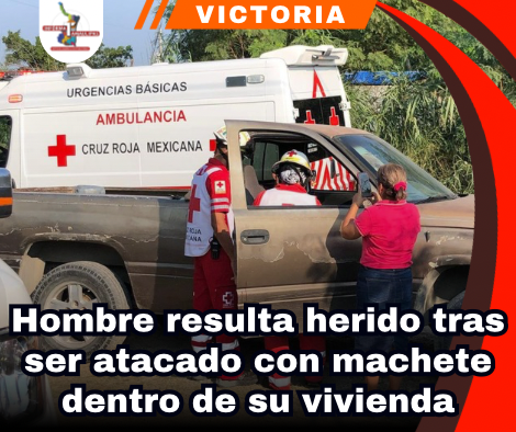 copia-de-portada-notas-2-2.png