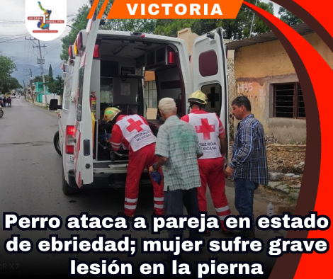copia-de-portada-notas-2-2.png