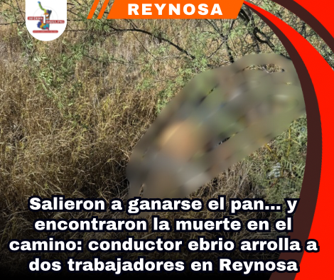 copia-de-portada-notas-2-2.png