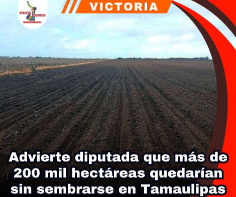 copia-de-portada-notas-2-3.png