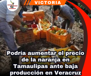 copia-de-portada-notas-2-3.png