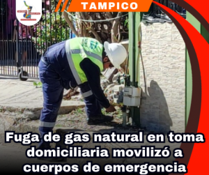 copia-de-portada-notas-2.png