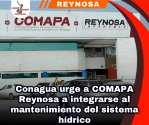 copia-de-portada-notas-2.png