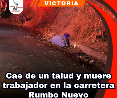 copia-de-portada-notas-2-4.png
