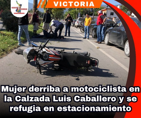copia-de-portada-notas-2-4.png