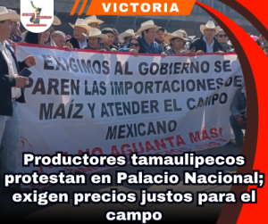 copia-de-portada-notas-2.png
