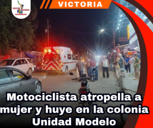 copia-de-portada-notas-2-5.png
