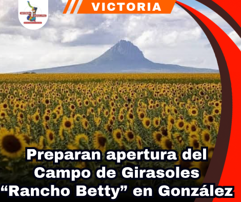 copia-de-portada-notas-2.png