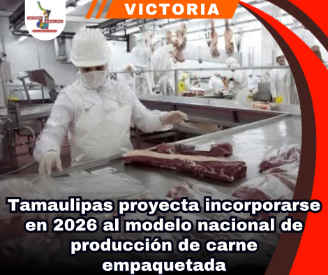 copia-de-portada-notas-2.png