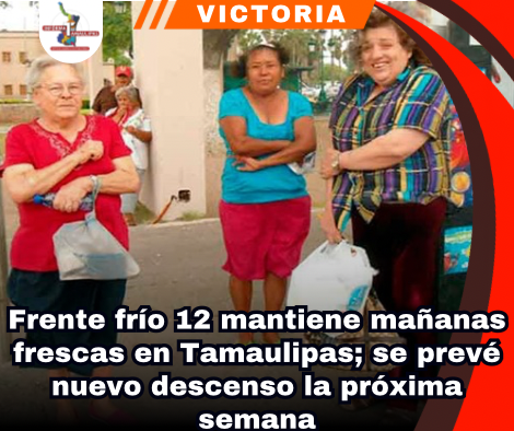 copia-de-portada-notas-2-7.png