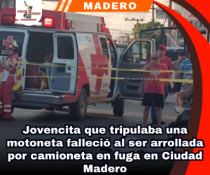 copia-de-portada-notas-2.png