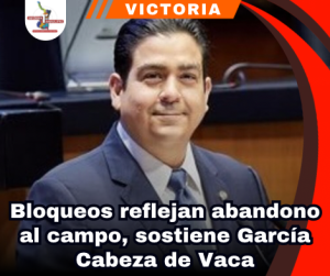 copia-de-portada-notas-2.png
