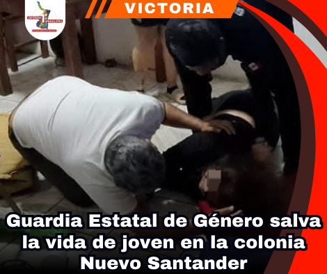 copia-de-portada-notas-2-.png