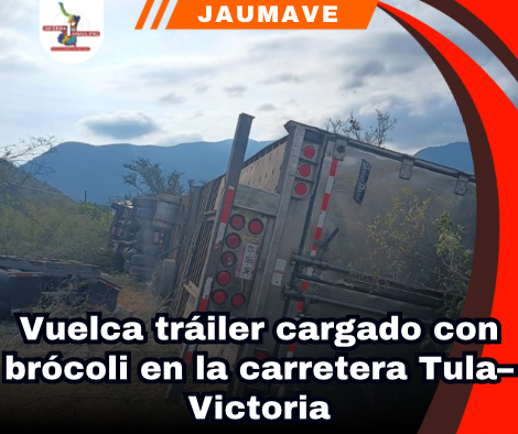 copia-de-portada-notas-2-1.png