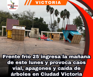 copia-de-portada-notas-2.png