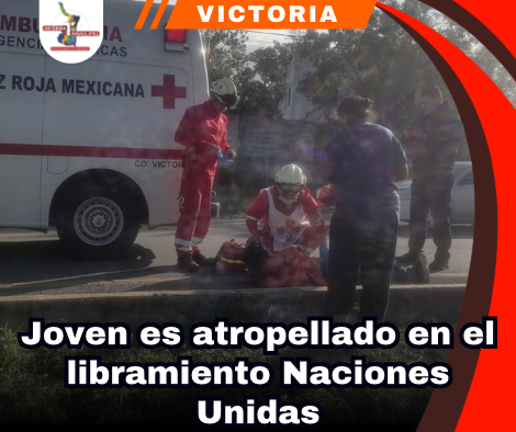 copia-de-portada-notas-2.png