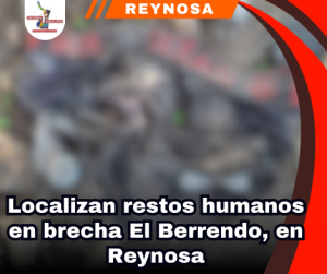 copia-de-portada-notas-2.png