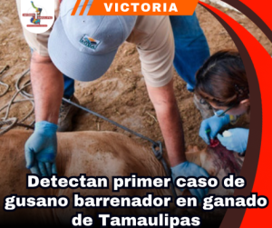copia-de-portada-notas-2.png
