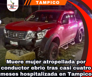 copia-de-portada-notas-2-2.png