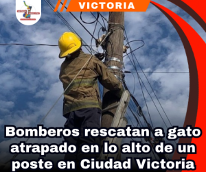 copia-de-portada-notas-2-2.png