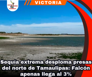 copia-de-portada-notas-2-3.png