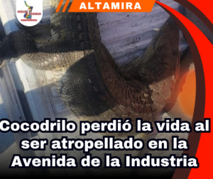 copia-de-portada-notas-2-3.png