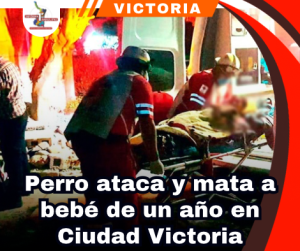 copia-de-portada-notas-2-3.png