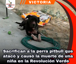 copia-de-portada-notas-2.png